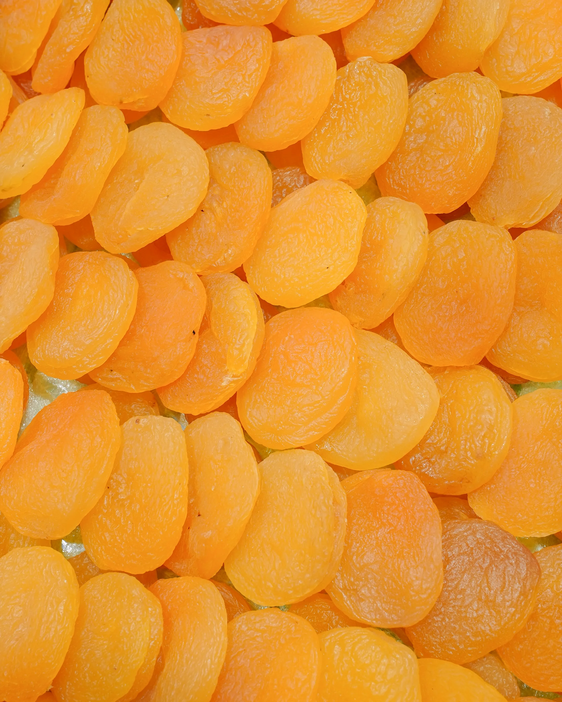 Jumbo Sarı Kayısı